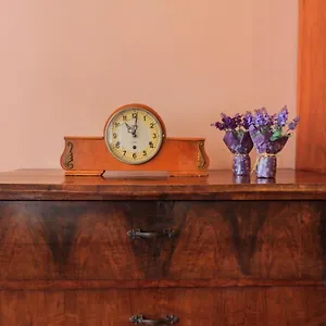 https://vintage-apartment-2-rooms.hotelslviv.net
